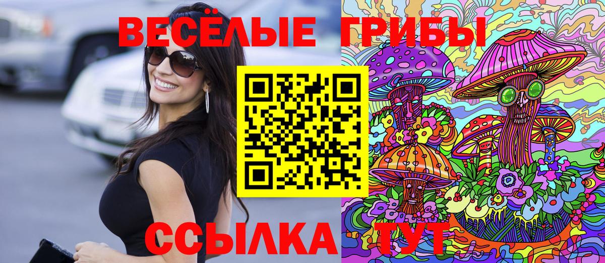 Мелеуз  Псилоцибиновые грибы MAGIC MUSHROOMS  Вход с VPN 