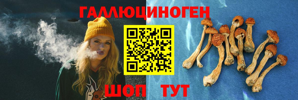 Галлюциногенные грибы прущие грибы Мелеуз